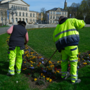 Praktikum Grünflächenamt Coburg